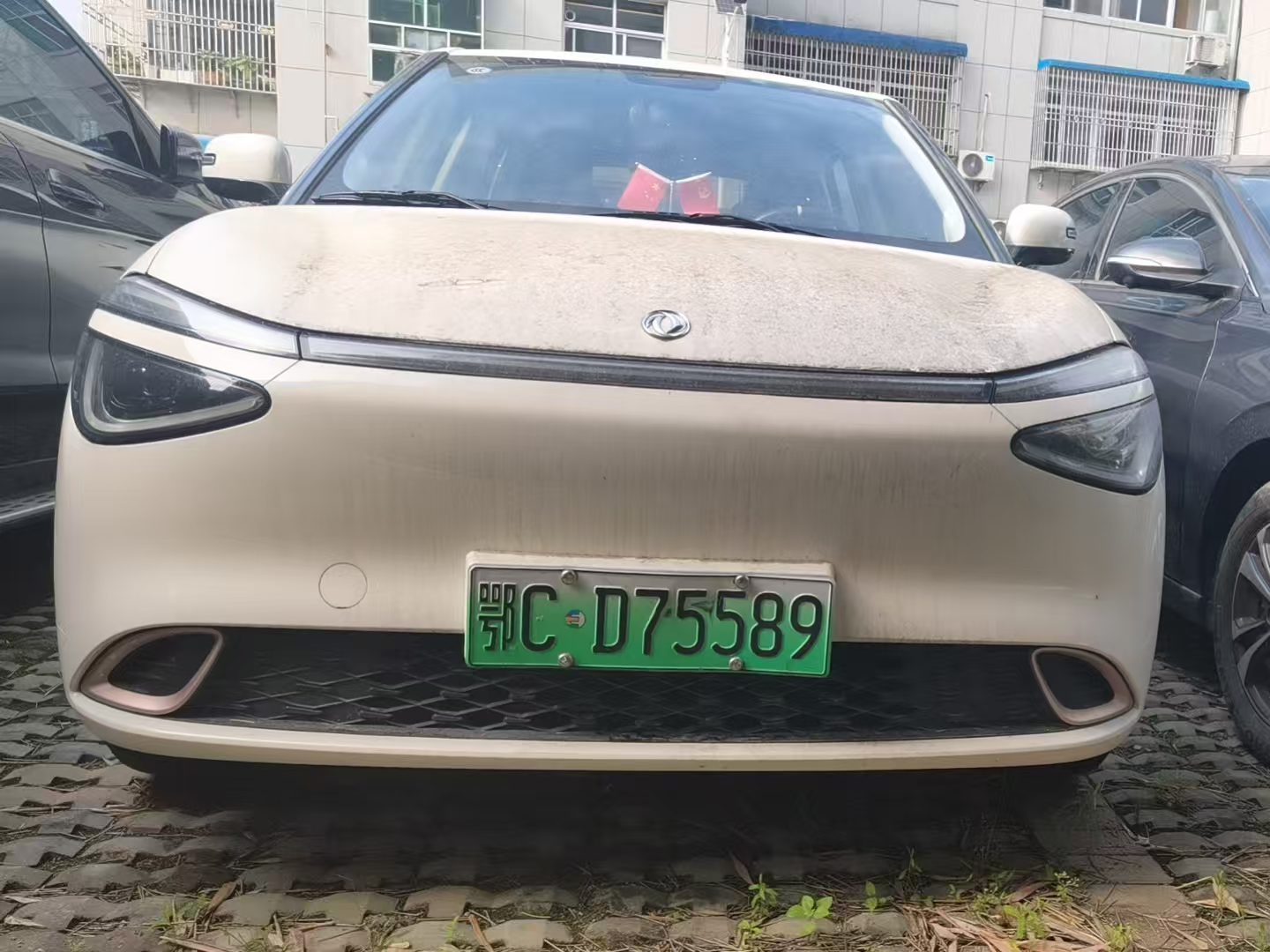 东风纳米 鄂CD75589
