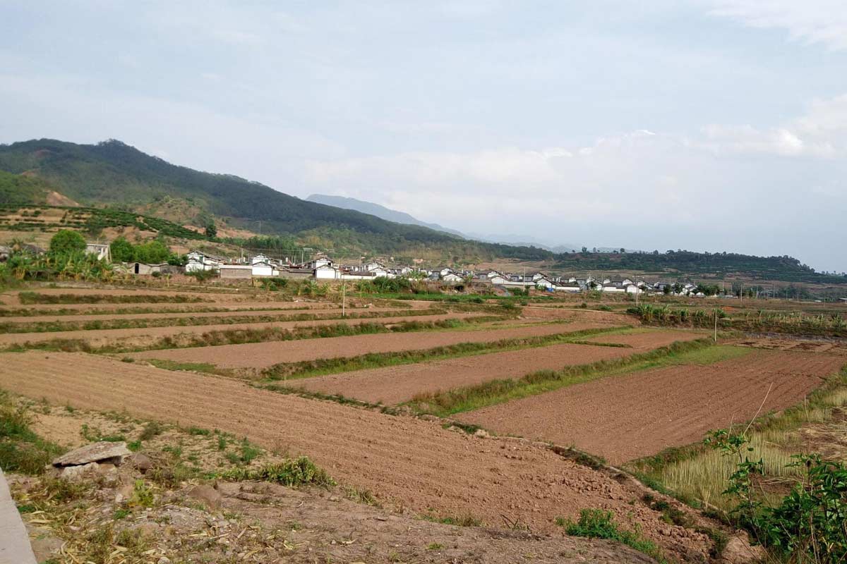 土地使用权拍卖